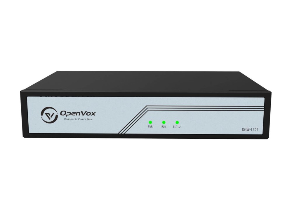 DGW-L301